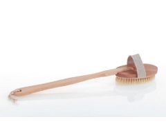 Selänpesuharja